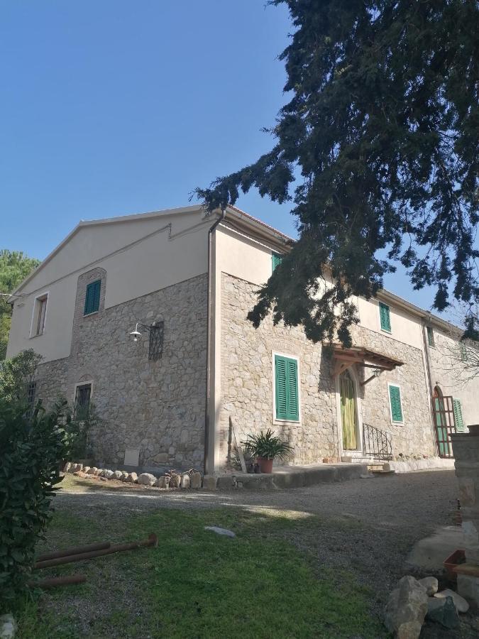 Вилла La Casa Dei Nonni Кьянни Экстерьер фото